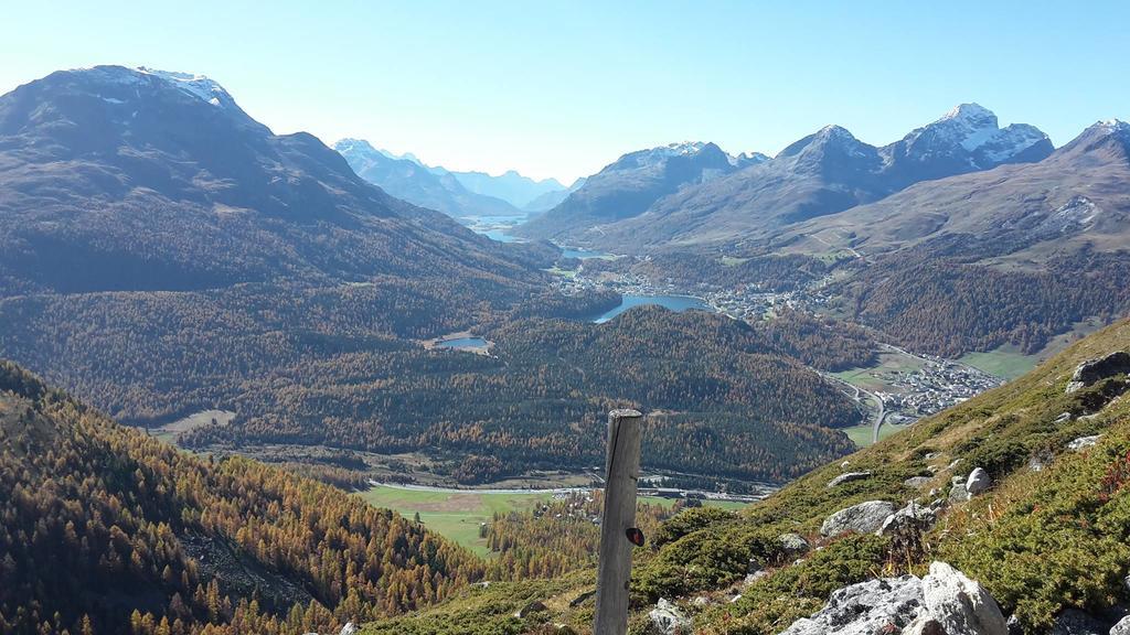 Hotel Allegra Pontresina Eksteriør bilde