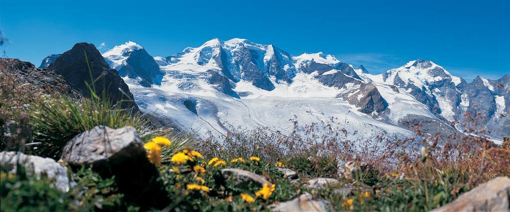 Hotel Allegra Pontresina Eksteriør bilde